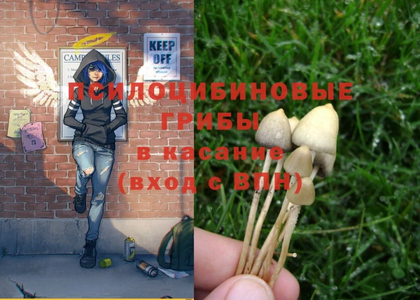 марки nbome Абаза