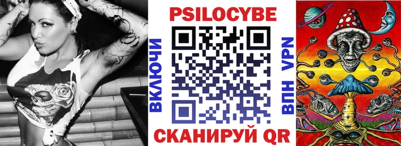 Галлюциногенные грибы Psilocybe  Новомичуринск 